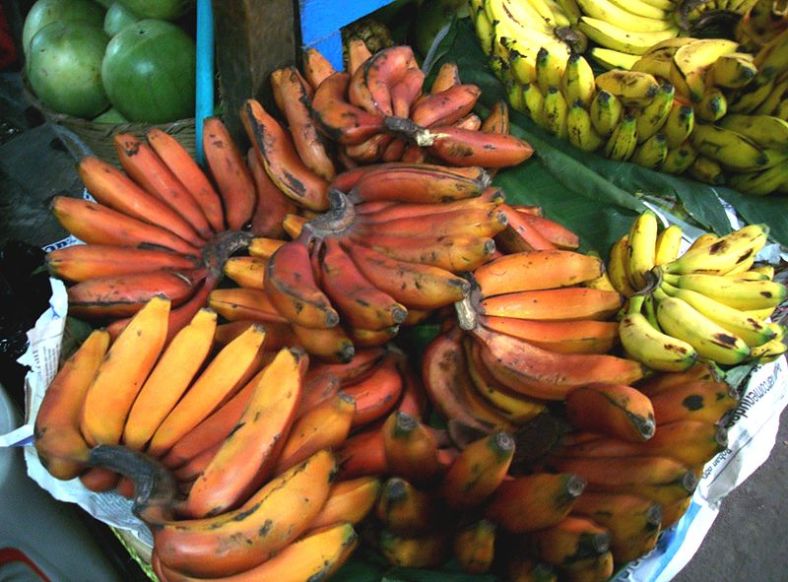 Red Bananas (CC)