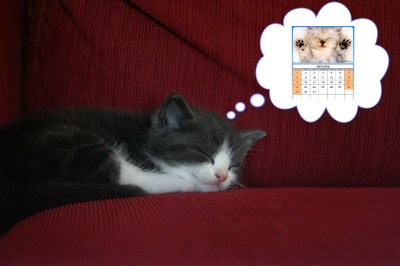 Cat Calendar ©2011