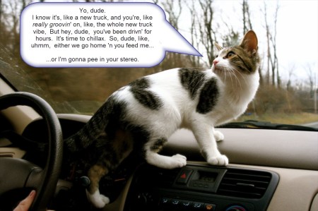 Dude I gotta pee! ©2011 Dude I gotta pee! ©2011