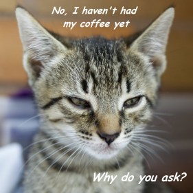 No, I'm not a morning person. Why do you ask? ©2012