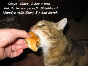 I iz a bad kitteh ©2011