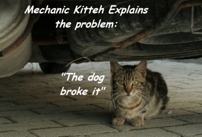 The dog broke it ©2011