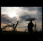 Man in the Rain (CC)