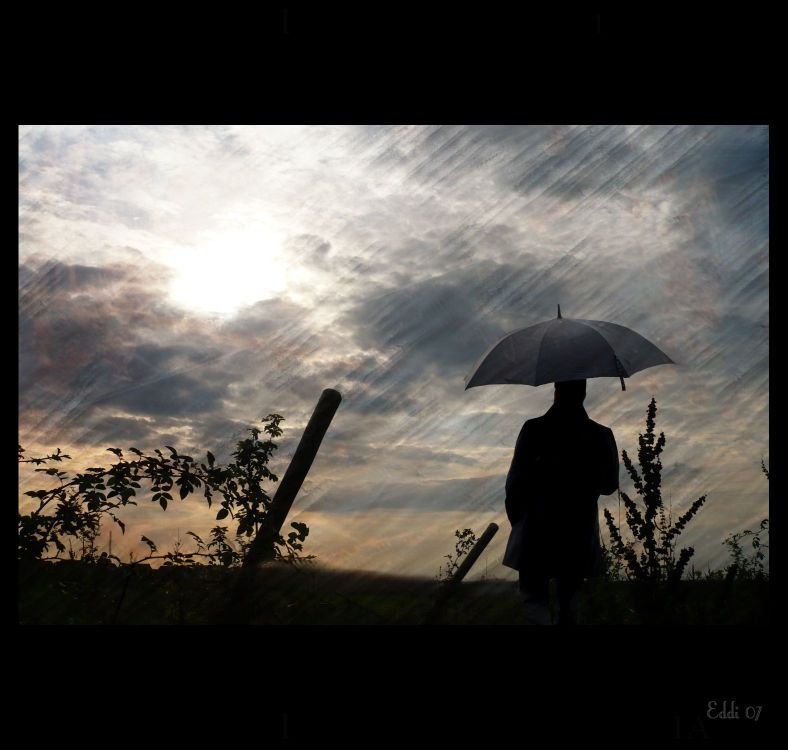 Man in the Rain (CC)