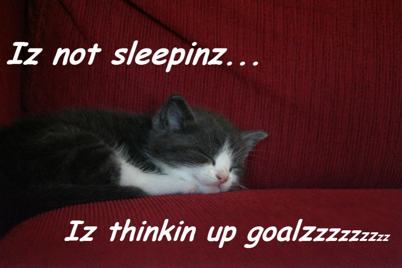 Iz Thinkin Up Goalzzzzz © 2011
