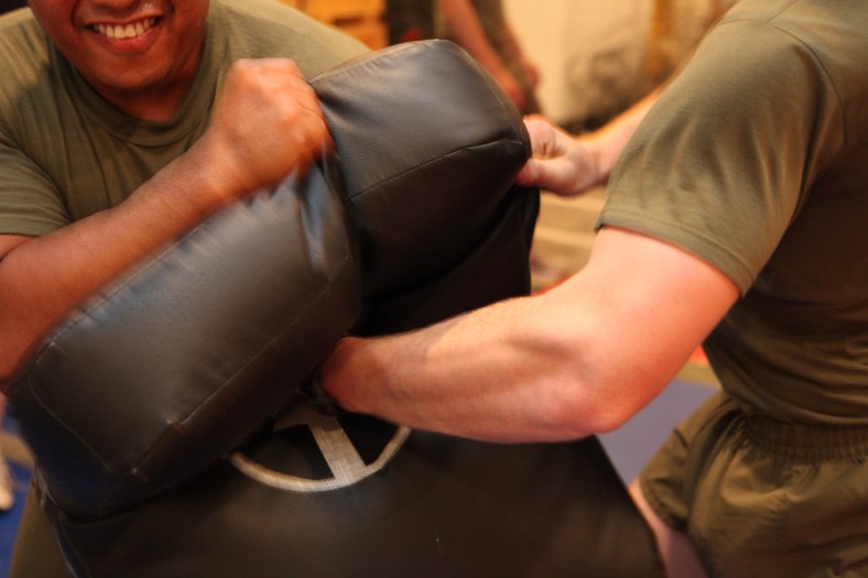 Soldier Workout Cropped (CC)