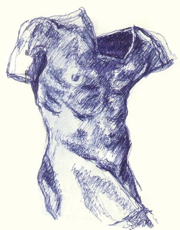 Male Torso - Drawing (CC)
