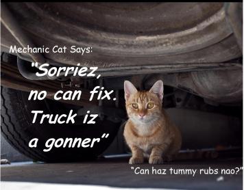 Truck is a gonner ©2011