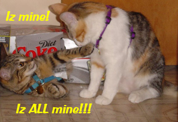 Iz mine! ©2012