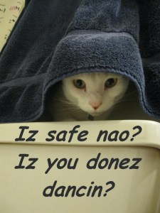 Iz safe nao? ©2012