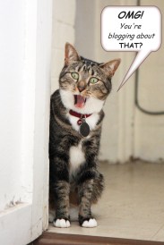 OMG! You're blogging about THAT? ©2012