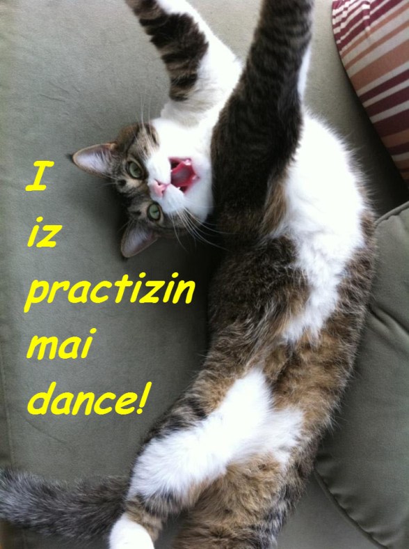 Diva Kitty practizin dance ©2012