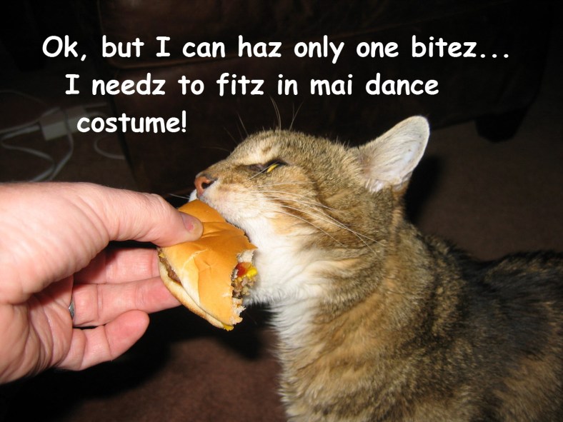 Ok, but I can haz only one bitez. I needz to fitz in mai dance costume ©