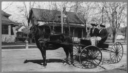Horse and Buggy - Public Domain Image