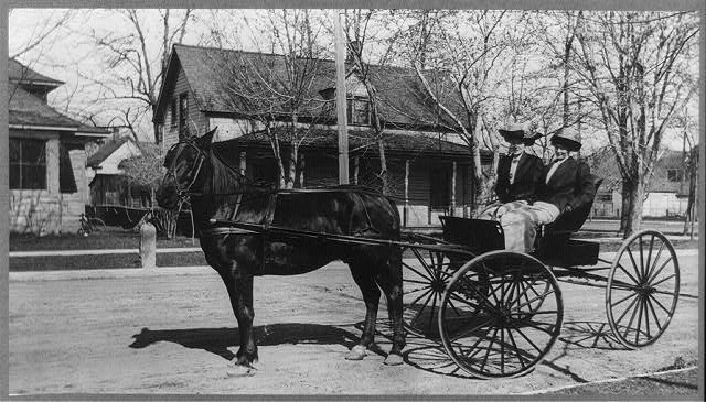 Horse and Buggy - Public Domain Image
