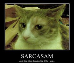 Sarcasm, just another service we offer