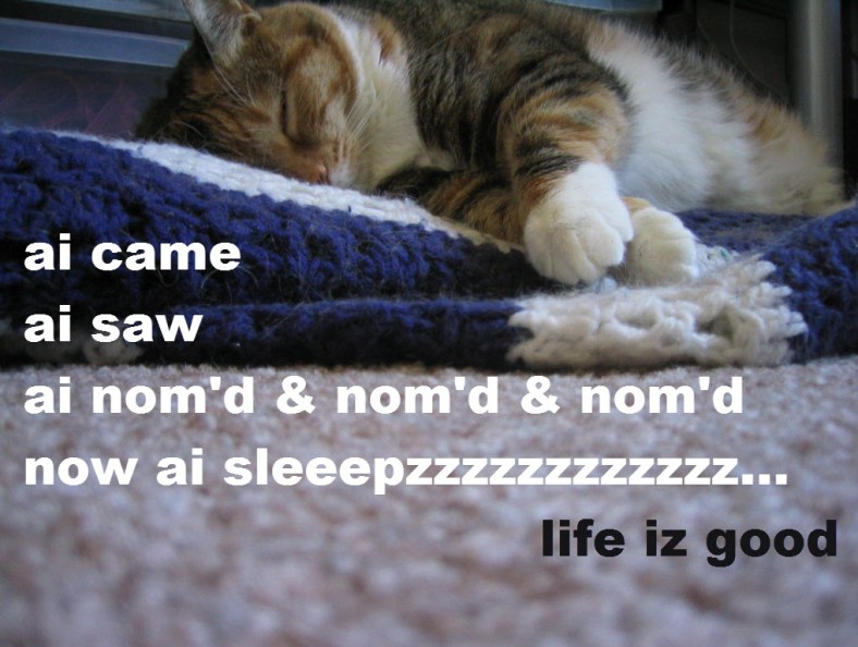 ai came, ai saw, ai nom'd and nom'd, now ai sleepzzz... life iz good
