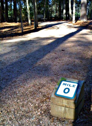 The Journey Begins (CC)