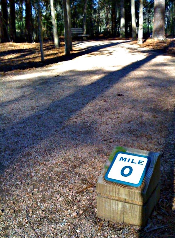 The Journey Begins (CC)