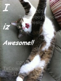 Cat Diva Kitty – I iz awesome! – with Watermark ©2012