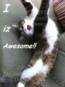 Cat Diva Kitty – I iz awesome! – with Watermark ©2012