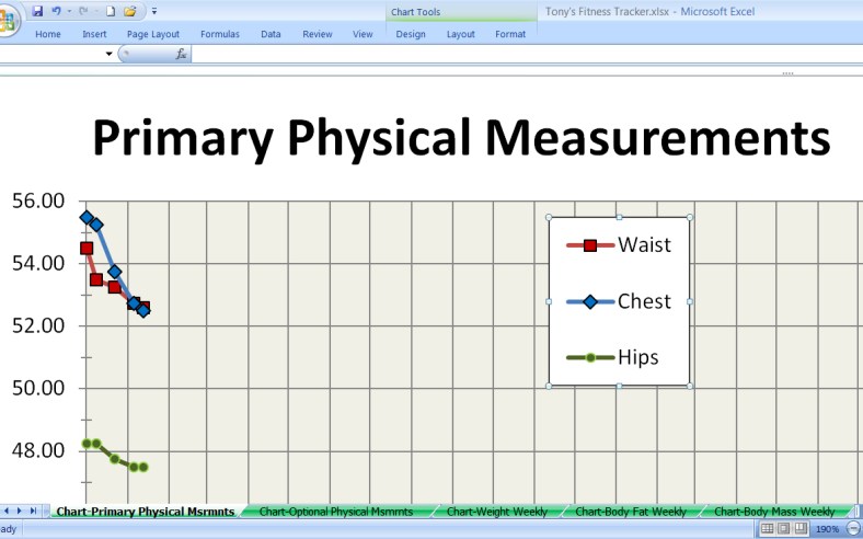 Chart showing my Physical Measurements 01-19-2013