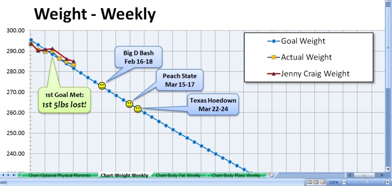 Chart showing my weight loss 01-19-2013