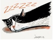 Snoring Cat -- Click on the link if you'd like to have a coffee mug with this design