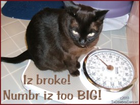 c2013 TxCowboyDancer Designs -- All Rights Reserved