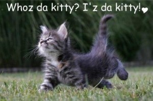Whoz da kitty
