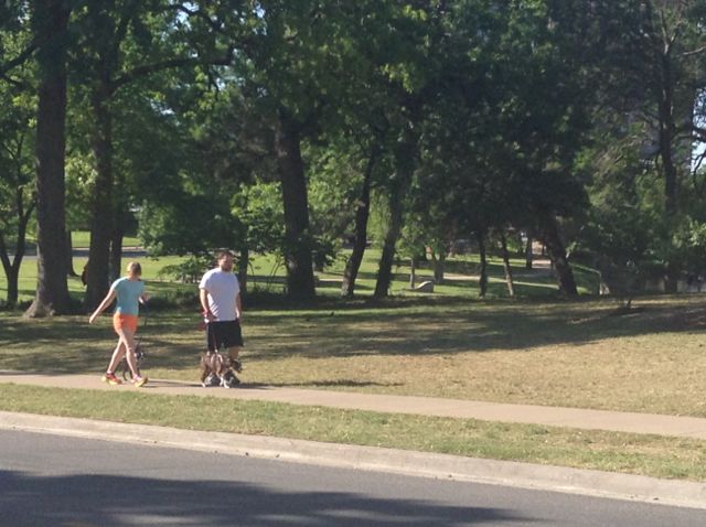 12. Other folks enjoying the park -- they might be "exercising" but they are probably NOT-exercising, and simply enjoying a beautiful day... like "Moi"