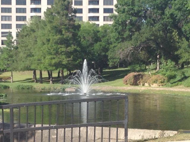 14. Looking across the street at the fountain in the middle of Turtle Creek