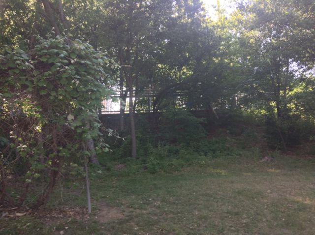 27. To give you an idea... here is the OTHER SIDE OF THE MOUNTAIN TOP. The stuff that was at the top of that big stairs and level with the bridge! I've just climed half that distance coming up my driveway!