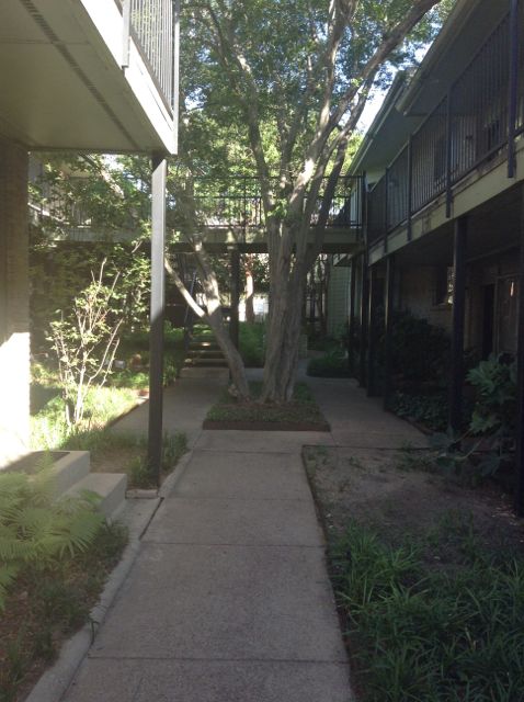 31. One of the coolest things about where I live is this courtyard. Everytime I walk through it I feel like I'm in New Orleans
