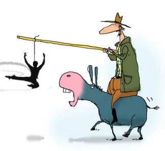 Carrot Dancer - Welcome to my brain.