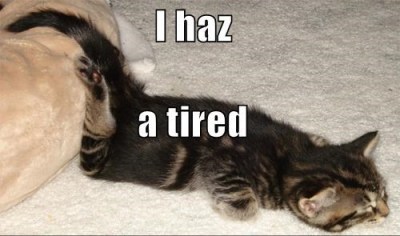 I haz a tired