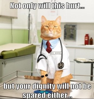 Doctor Kitty