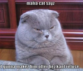 mafia cat