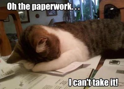 paperwork kitty
