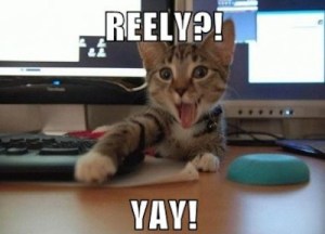 really_yay_lolcats