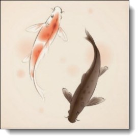 Koi Fish Yin Yang Gifts