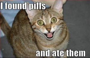 Pill cat